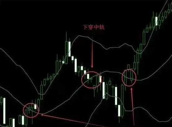 外汇跟单社区