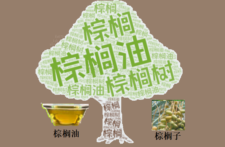棕榈油市场日评：外围油脂施压，库存预期构筑下方支撑